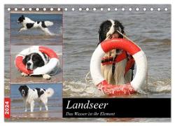 Landseer - Das Wasser ist ihr Element (Tischkalender 2024 DIN A5 quer), CALVENDO Monatskalender