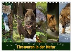 Tierspuren in der Natur (Wandkalender 2024 DIN A3 quer), CALVENDO Monatskalender