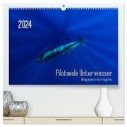 Pilotwale Unterwasser - Globicephala macrorhynchus (hochwertiger Premium Wandkalender 2024 DIN A2 quer), Kunstdruck in Hochglanz