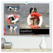 Landseer - Das Wasser ist ihr Element (hochwertiger Premium Wandkalender 2024 DIN A2 quer), Kunstdruck in Hochglanz