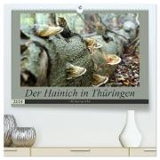 Der Hainich in Thüringen - Weltnaturerbe (hochwertiger Premium Wandkalender 2024 DIN A2 quer), Kunstdruck in Hochglanz