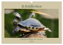 Schildkröten - Gepanzerte Wesen aus Urzeiten (Wandkalender 2024 DIN A3 quer), CALVENDO Monatskalender