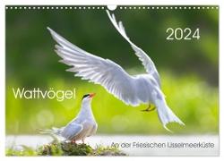 Wattvögel an der Friesischen IJsselmeerküste (Wandkalender 2024 DIN A3 quer), CALVENDO Monatskalender