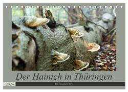 Der Hainich in Thüringen - Weltnaturerbe (Tischkalender 2024 DIN A5 quer), CALVENDO Monatskalender