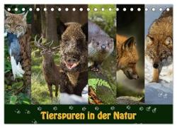 Tierspuren in der Natur (Tischkalender 2024 DIN A5 quer), CALVENDO Monatskalender