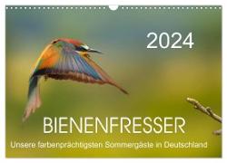Bienenfresser, unsere farbenprächtigsten Sommergäste in Deutschland (Wandkalender 2024 DIN A3 quer), CALVENDO Monatskalender