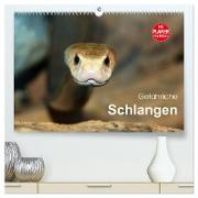 Gefährliche Schlangen (hochwertiger Premium Wandkalender 2024 DIN A2 quer), Kunstdruck in Hochglanz