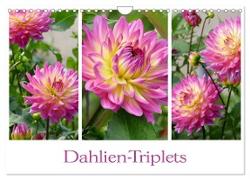 Dahlien-Triplets (Wandkalender 2024 DIN A4 quer), CALVENDO Monatskalender