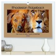 Rhodesian Ridgeback der Hund mit dem Tropfen Löwenblut (hochwertiger Premium Wandkalender 2024 DIN A2 quer), Kunstdruck in Hochglanz