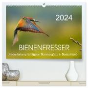Bienenfresser, unsere farbenprächtigsten Sommergäste in Deutschland (hochwertiger Premium Wandkalender 2024 DIN A2 quer), Kunstdruck in Hochglanz
