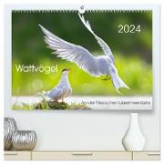 Wattvögel an der Friesischen IJsselmeerküste (hochwertiger Premium Wandkalender 2024 DIN A2 quer), Kunstdruck in Hochglanz