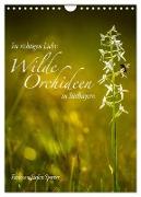Im richtigen Licht: Wilde Orchideen in Südbayern (Wandkalender 2024 DIN A4 hoch), CALVENDO Monatskalender