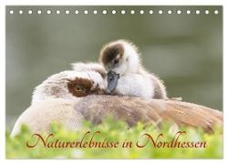 Naturerlebnisse in Nordhessen (Tischkalender 2024 DIN A5 quer), CALVENDO Monatskalender