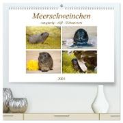 MEERSCHWEINCHEN neugierig - süß - liebenswert (hochwertiger Premium Wandkalender 2024 DIN A2 quer), Kunstdruck in Hochglanz