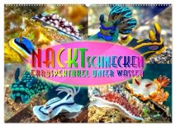 Nacktschnecken, Farbspektakel unter Wasser (Wandkalender 2024 DIN A2 quer), CALVENDO Monatskalender