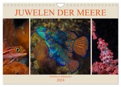 Juwelen der Meere (Wandkalender 2024 DIN A4 quer), CALVENDO Monatskalender