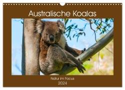 Australische Koalas (Wandkalender 2024 DIN A3 quer), CALVENDO Monatskalender