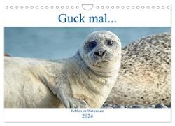 Guck mal ... Robben im Wattenmeer (Wandkalender 2024 DIN A4 quer), CALVENDO Monatskalender
