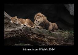 Löwen in der Wildnis 2024 Fotokalender DIN A3