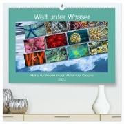 Kleine Kunstwerke in den Weiten der Ozeane (hochwertiger Premium Wandkalender 2024 DIN A2 quer), Kunstdruck in Hochglanz
