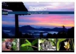 Borneo - Tierparadies Regenwald (Wandkalender 2024 DIN A2 quer), CALVENDO Monatskalender