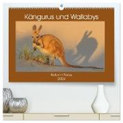 Kängururs und Wallabys (hochwertiger Premium Wandkalender 2024 DIN A2 quer), Kunstdruck in Hochglanz