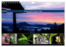 Borneo - Tierparadies Regenwald (Wandkalender 2024 DIN A4 quer), CALVENDO Monatskalender