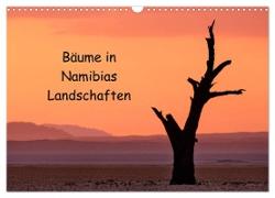 Bäume in Namibias Landschaften (Wandkalender 2024 DIN A3 quer), CALVENDO Monatskalender