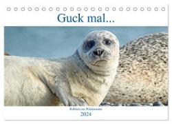 Guck mal ... Robben im Wattenmeer (Tischkalender 2024 DIN A5 quer), CALVENDO Monatskalender