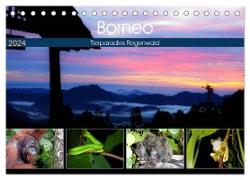 Borneo - Tierparadies Regenwald (Tischkalender 2024 DIN A5 quer), CALVENDO Monatskalender