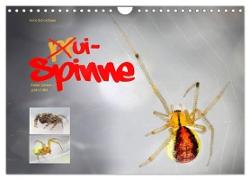 ui - Spinne. Kleine Spinnen - groß im Bild (Wandkalender 2024 DIN A4 quer), CALVENDO Monatskalender