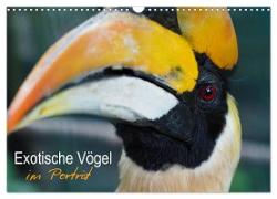 Exotische Vögel im Porträt (Wandkalender 2024 DIN A3 quer), CALVENDO Monatskalender