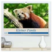 Kleiner Panda auf Entdeckungstour (hochwertiger Premium Wandkalender 2024 DIN A2 quer), Kunstdruck in Hochglanz