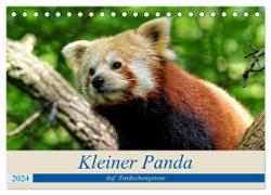 Kleiner Panda auf Entdeckungstour (Tischkalender 2024 DIN A5 quer), CALVENDO Monatskalender