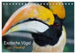 Exotische Vögel im Porträt (Tischkalender 2024 DIN A5 quer), CALVENDO Monatskalender