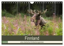 Finnland: eine tierische Entdeckungsreise (Wandkalender 2024 DIN A4 quer), CALVENDO Monatskalender