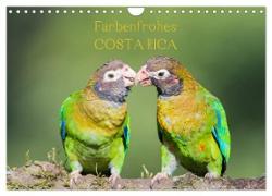 Farbenfrohes Costa Rica (Wandkalender 2024 DIN A4 quer), CALVENDO Monatskalender