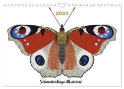 Schmetterlinge illustriert (Wandkalender 2024 DIN A4 quer), CALVENDO Monatskalender