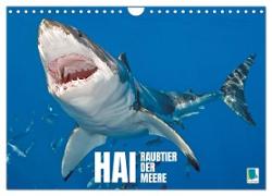 Hai: Raubtier der Meere (Wandkalender 2024 DIN A4 quer), CALVENDO Monatskalender
