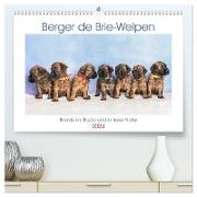 Berger de Brie - Welpen (hochwertiger Premium Wandkalender 2024 DIN A2 quer), Kunstdruck in Hochglanz