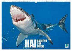 Hai: Raubtier der Meere (Wandkalender 2024 DIN A2 quer), CALVENDO Monatskalender