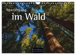 Spaziergang im Wald (Wandkalender 2024 DIN A4 quer), CALVENDO Monatskalender