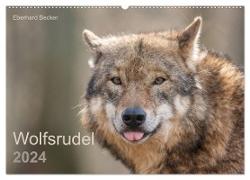 Wolfsrudel (Wandkalender 2024 DIN A2 quer), CALVENDO Monatskalender