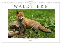Waldtiere (Wandkalender 2024 DIN A4 quer), CALVENDO Monatskalender