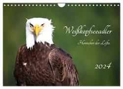 Weißkopfseeadler. Herrscher der Lüfte. 2024 (Wandkalender 2024 DIN A4 quer), CALVENDO Monatskalender