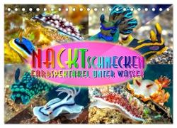 Nacktschnecken, Farbspektakel unter Wasser (Tischkalender 2024 DIN A5 quer), CALVENDO Monatskalender