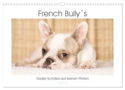 French Bully´s - Große Schätze auf kleinen Pfoten (Wandkalender 2024 DIN A3 quer), CALVENDO Monatskalender