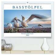 Basstölpel - Helgolands tollkühne Taucher (hochwertiger Premium Wandkalender 2024 DIN A2 quer), Kunstdruck in Hochglanz