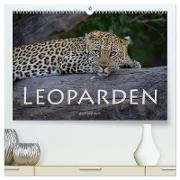 Leoparden - groß und klein (hochwertiger Premium Wandkalender 2024 DIN A2 quer), Kunstdruck in Hochglanz