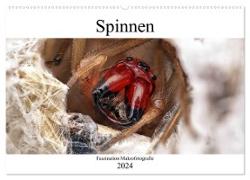 Faszination Makrofotografie: Spinnen (Wandkalender 2024 DIN A2 quer), CALVENDO Monatskalender